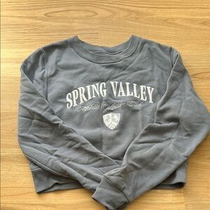 Hollister Gray Sweatshirt